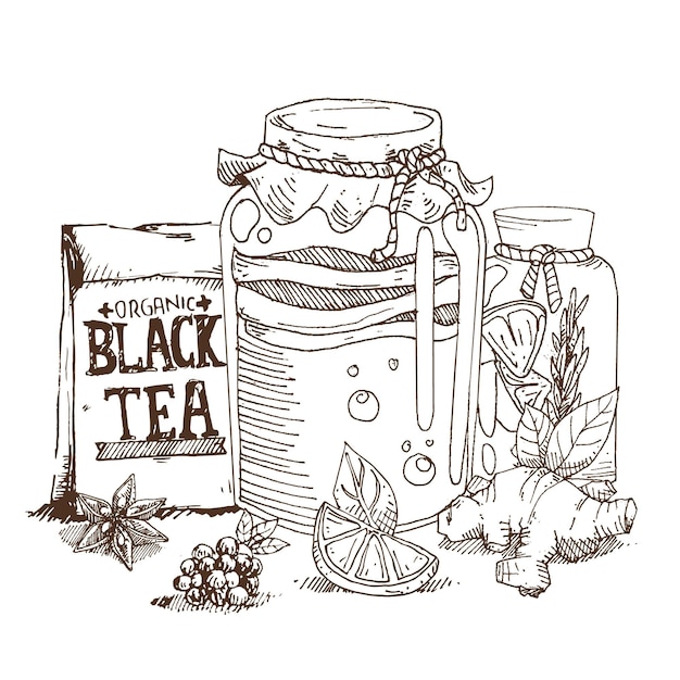 Free Vector hand drawn kombucha tea