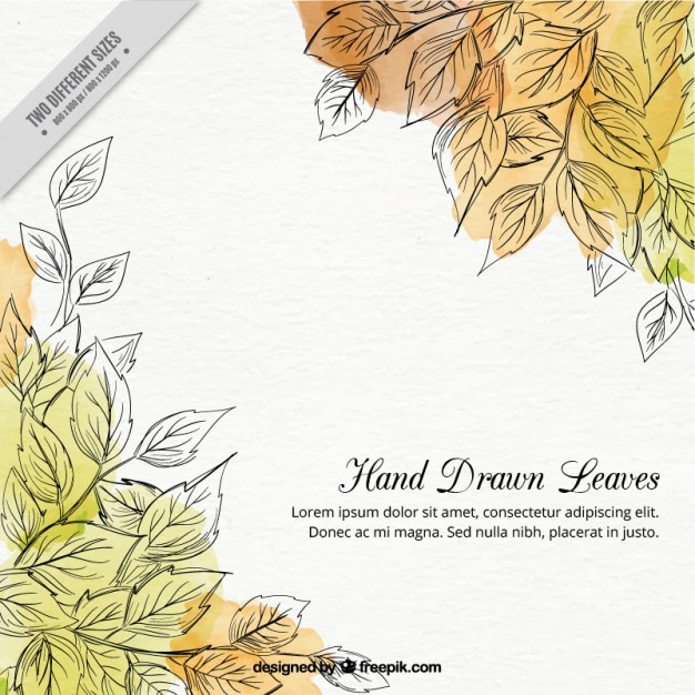 Free Vector hand drawn leaves background with waterocolor stains