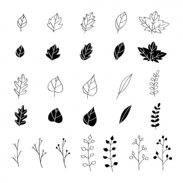 Hand drawn leaves collection