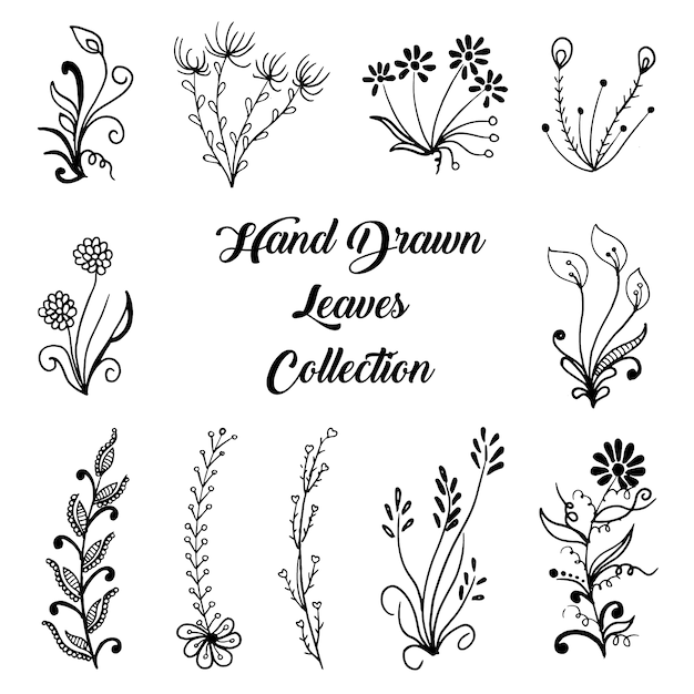 Hand drawn leaves collection