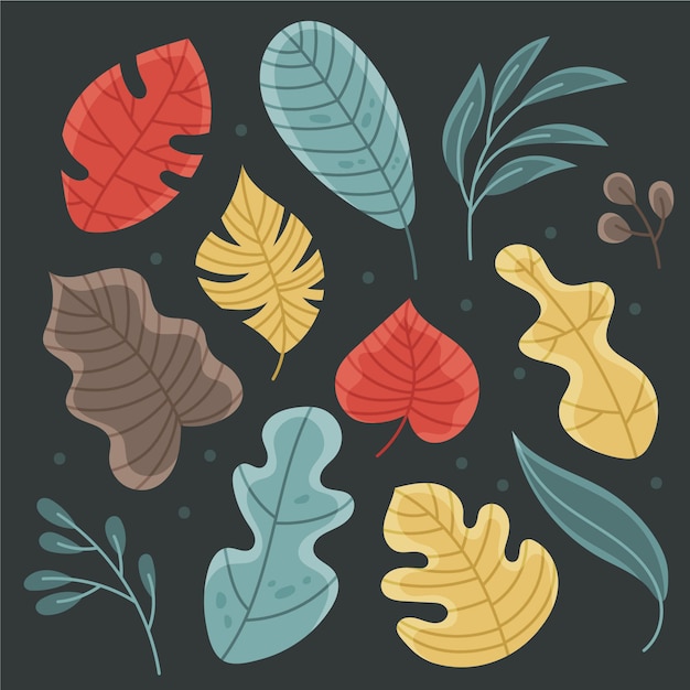 Hand drawn leaves collection