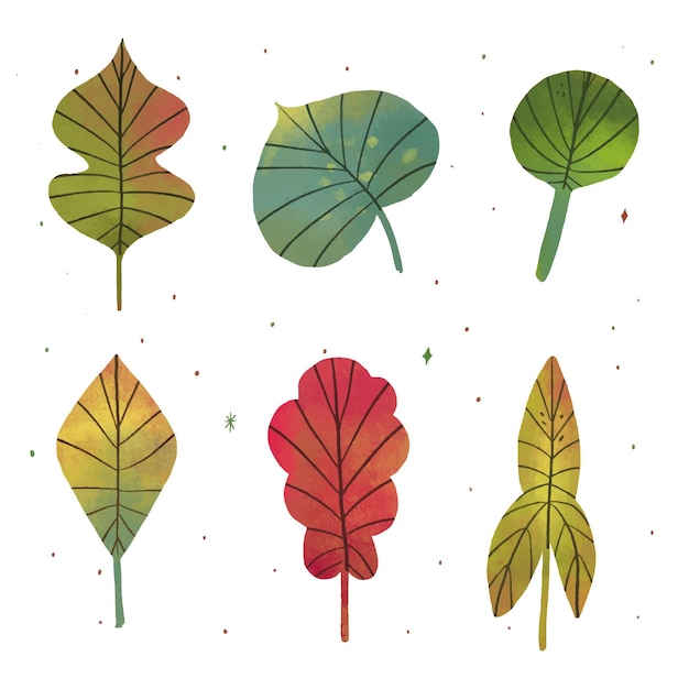 Free vector hand drawn leaves collection