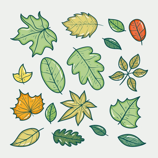 Hand drawn leaves collection