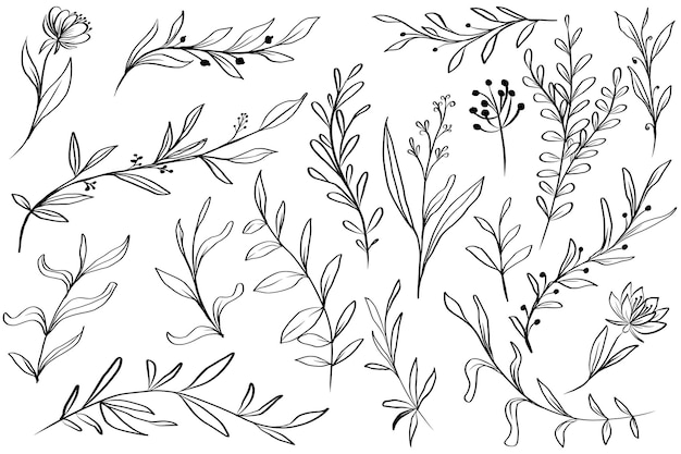 Free Vector hand drawn leaves floral isolated clipart