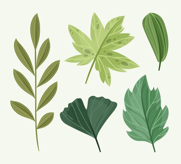 Hand drawn leaves illustration