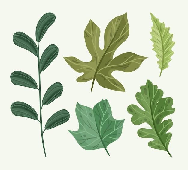 Free vector hand drawn leaves illustration