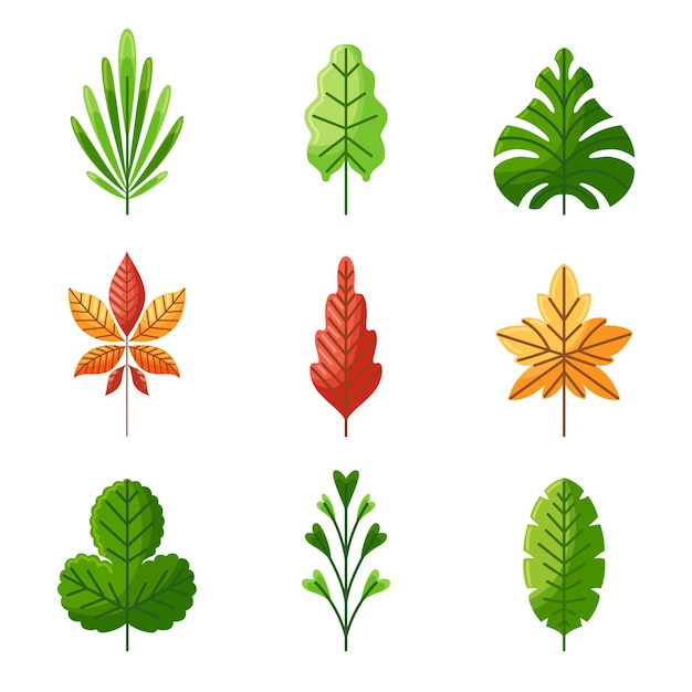 Hand drawn leaves illustration