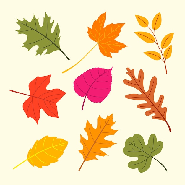 Hand drawn leaves illustration