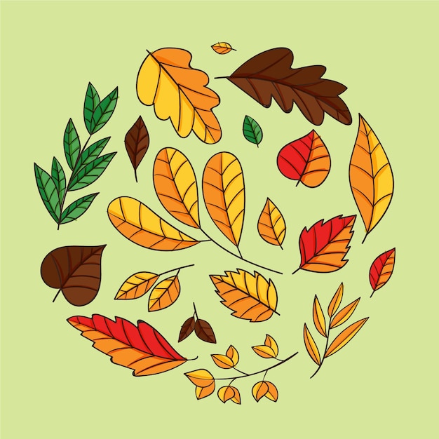 Hand drawn leaves in various shapes