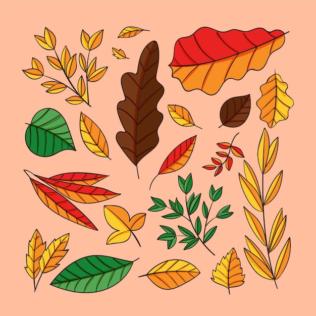 Hand drawn leaves in various shapes