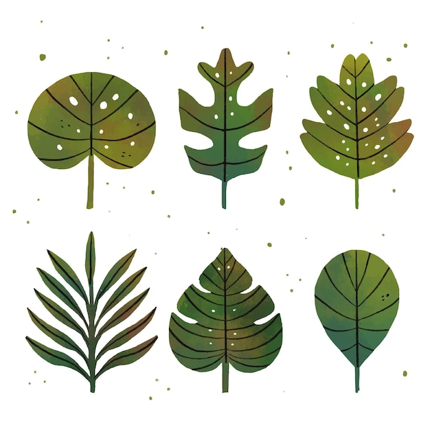 Free vector hand drawn leaves in various shapes