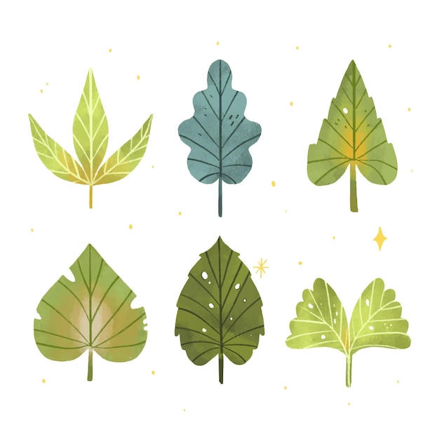 Hand drawn leaves in various shapes