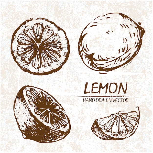 Free Vector hand drawn lemon design