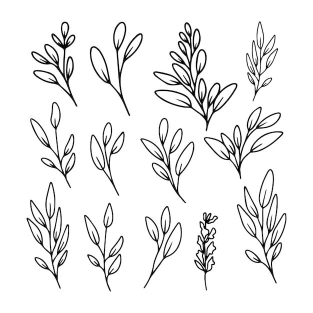 Hand drawn line art floral decorative elements, leaves, flowers, herbs and branches botanical doodle