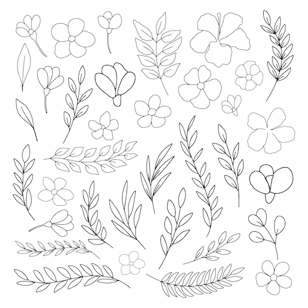 Free Vector hand drawn line art floral decorative elements, leaves, flowers, herbs and branches botanical doodle