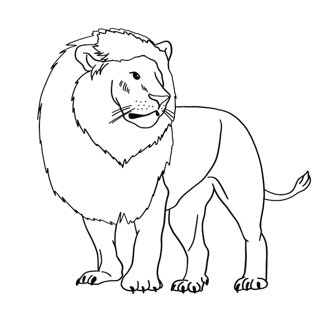 Hand drawn lion  illustration