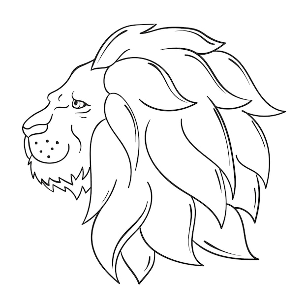 Hand drawn lion outline illustration