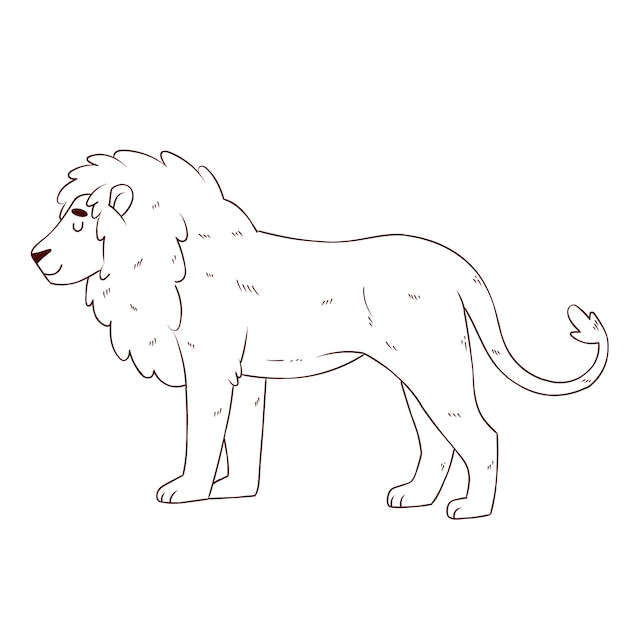 Hand drawn lion outline illustration