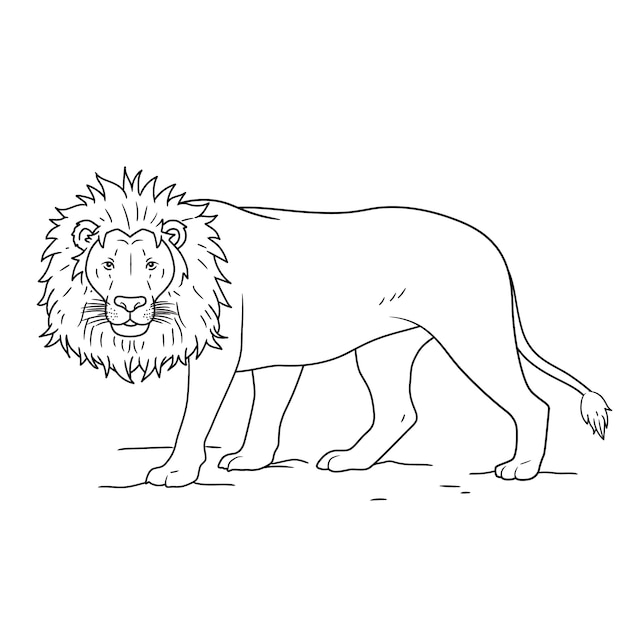 Hand drawn lion outline