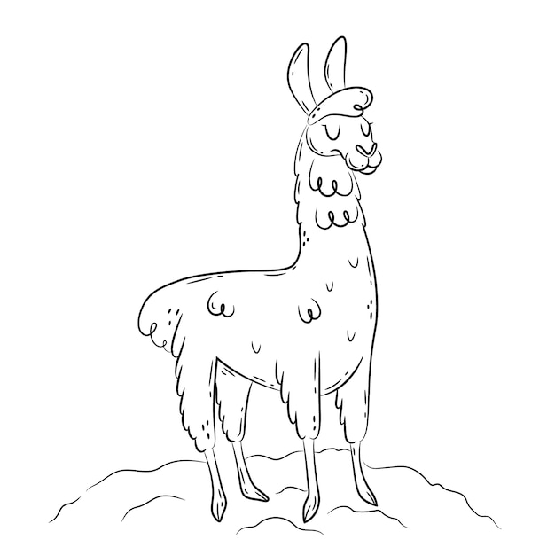 Free Vector hand drawn llama outline illustration