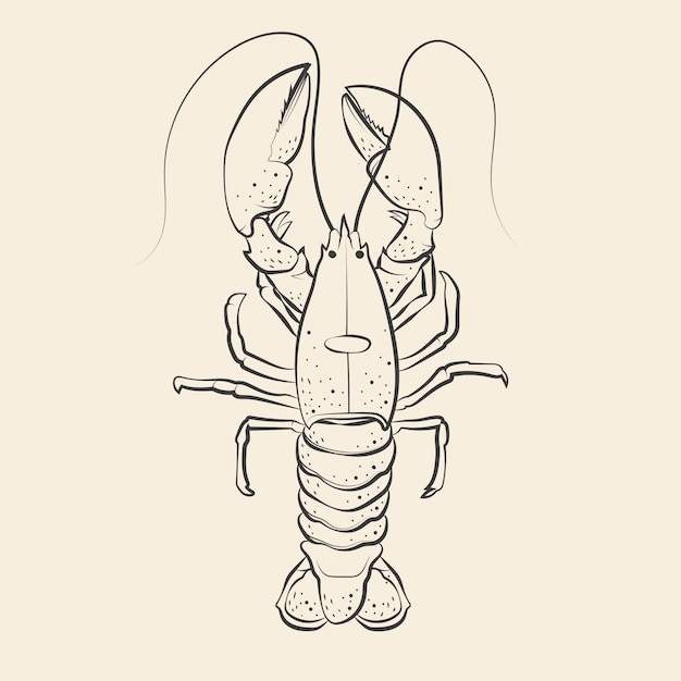 Free Vector hand drawn lobster drawing illustration