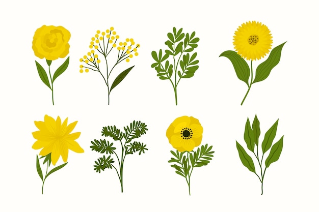 Free vector hand drawn lovely spring flower set