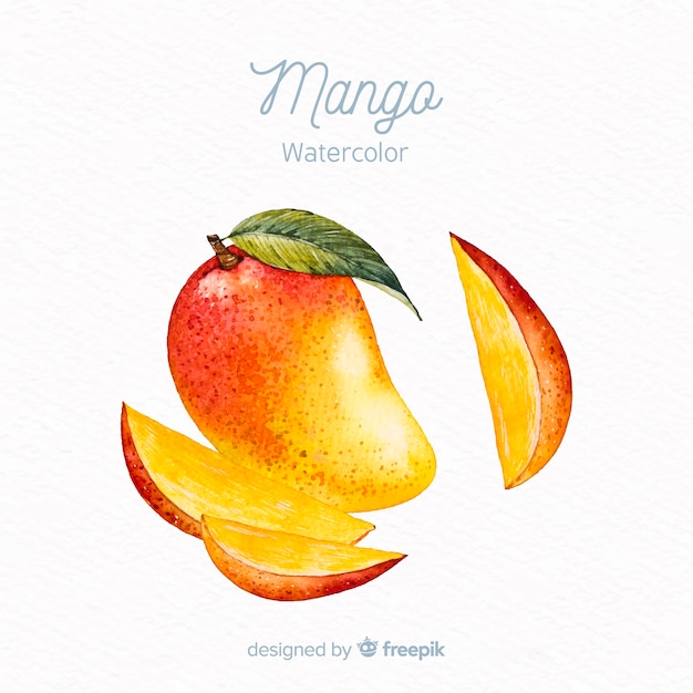 Free Vector hand drawn mango background