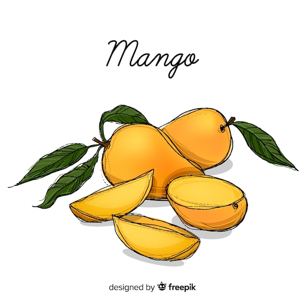 Free Vector hand drawn mango illustration