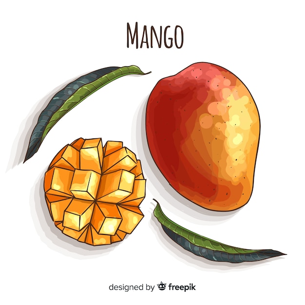 Free Vector hand drawn mango