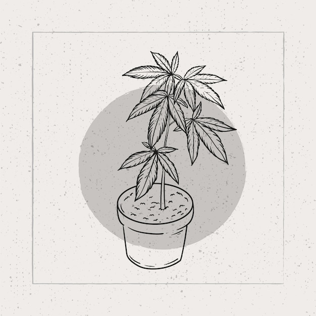 Hand drawn marijuana leaf outline illustration