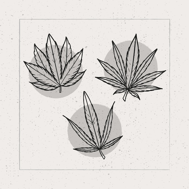 Free Vector hand drawn marijuana leaf outline illustration