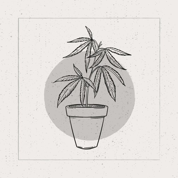 Hand drawn marijuana leaf outline illustration