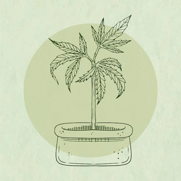 Free Vector hand drawn marijuana leaf outline illustration