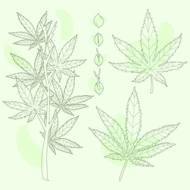 Free Vector hand drawn marijuana leaf outline illustration