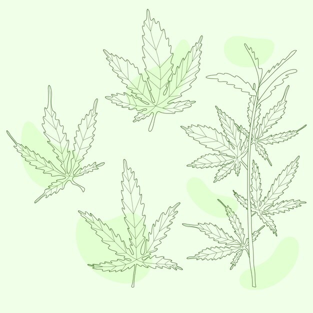 Hand drawn marijuana leaf outline illustration