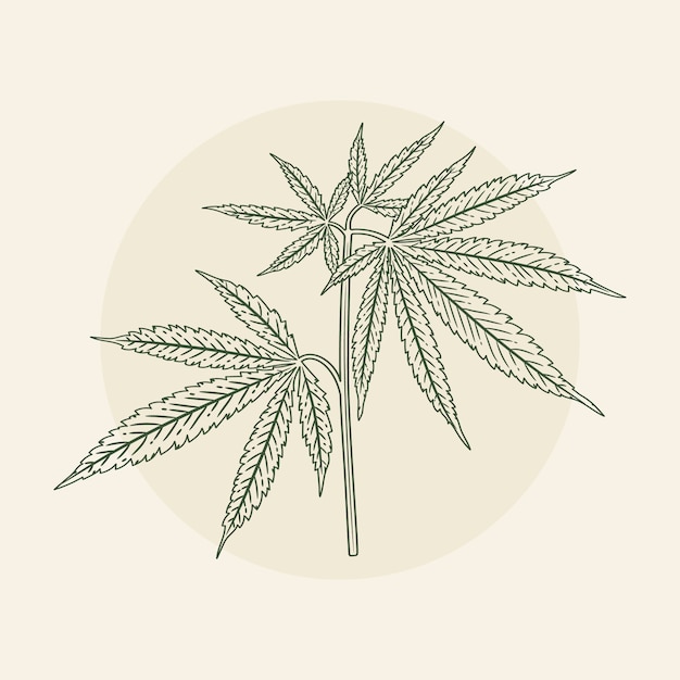 Free vector hand drawn marijuana leaf outline illustration