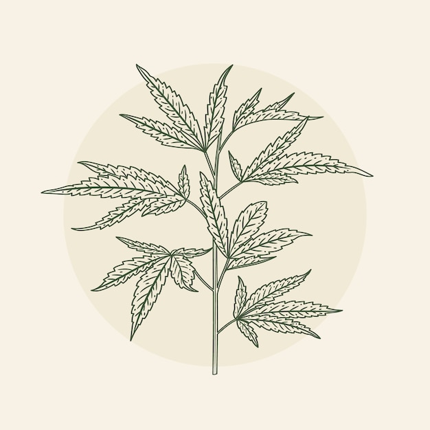 Hand drawn marijuana leaf outline illustration