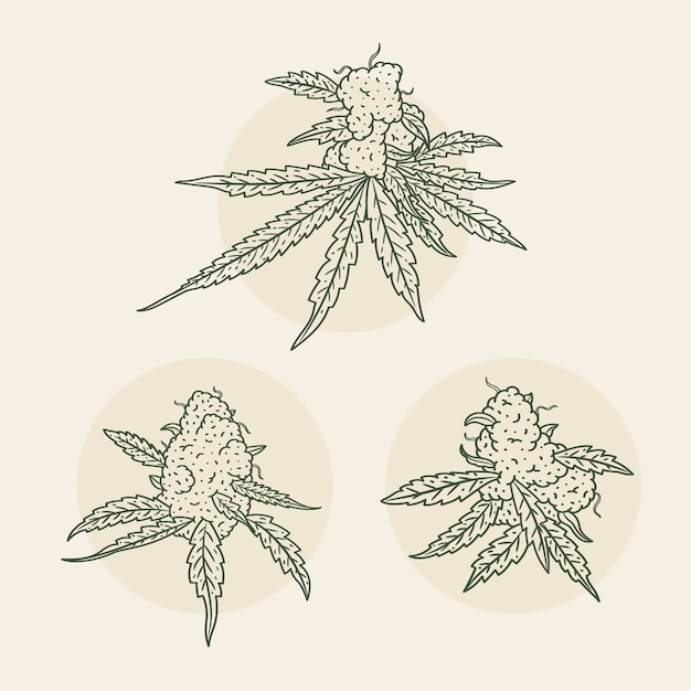 Free Vector hand drawn marijuana leaf outline illustration