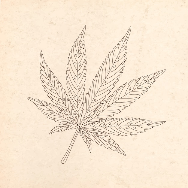 Hand drawn marijuana leaf outline illustration