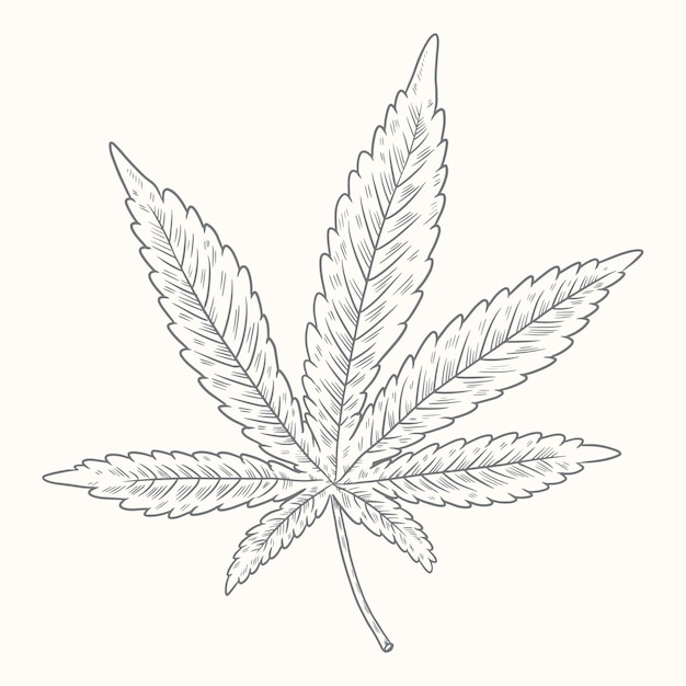 Free Vector hand drawn marijuana leaf outline illustration