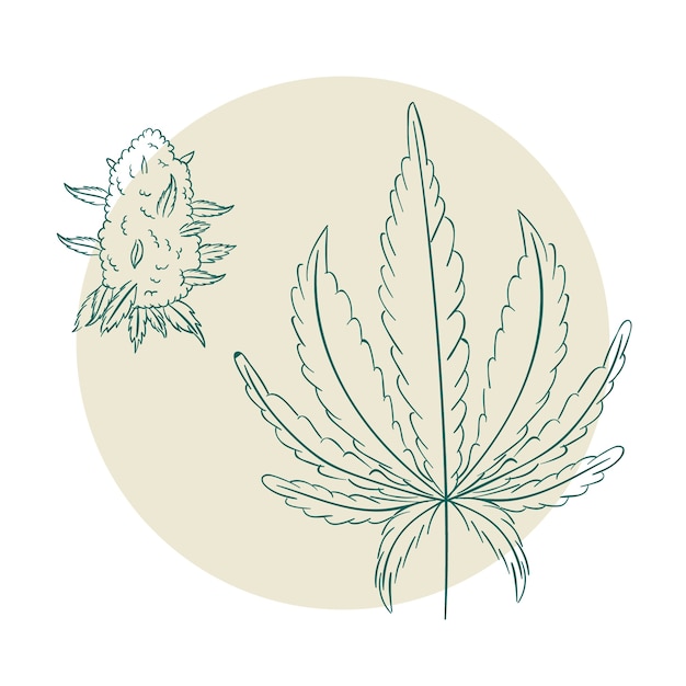 Free Vector hand drawn marijuana leaf outline illustration