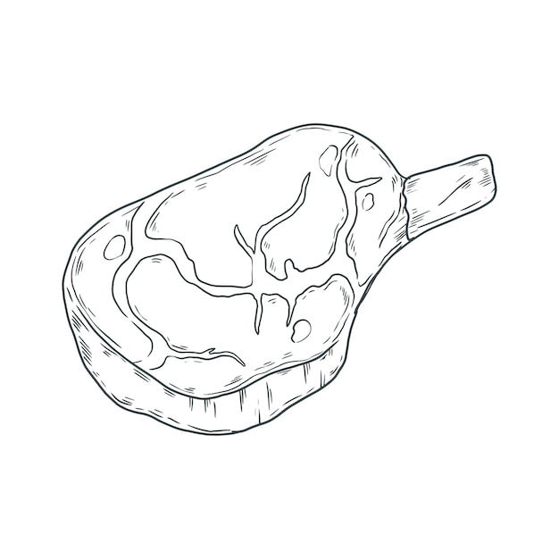 Free Vector hand drawn meat drawing illustration