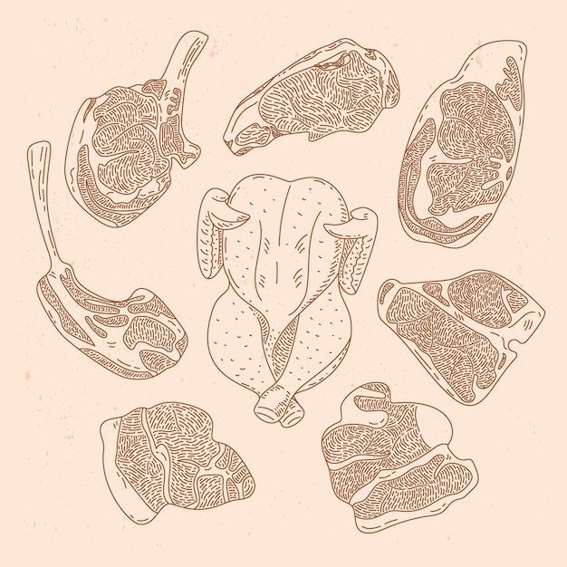 Free Vector hand drawn meat drawing illustration