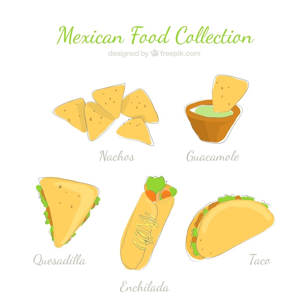 Free Vector hand drawn mexican food collection