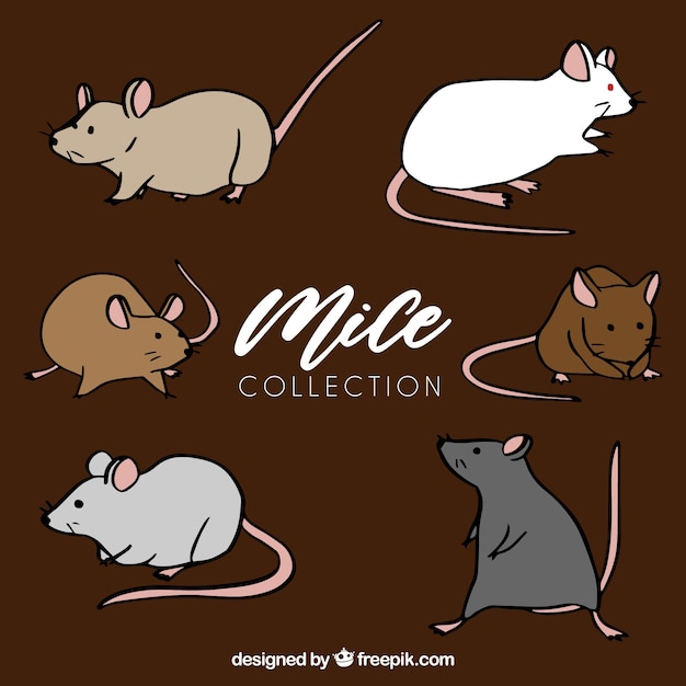 Hand drawn mice collection