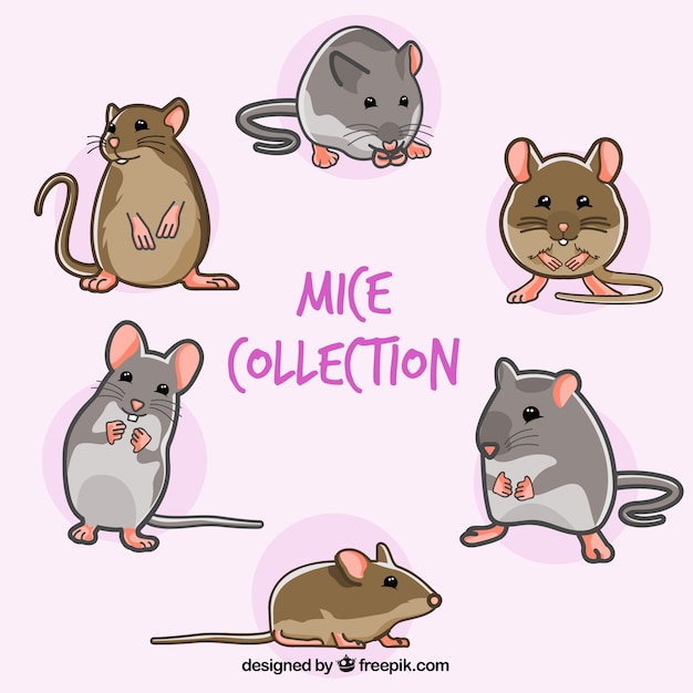 Hand drawn mice collection