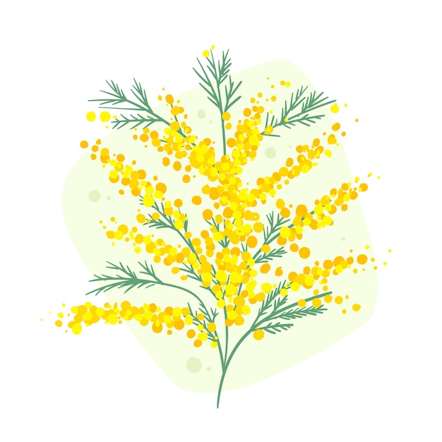 Free vector hand drawn mimosa illustration