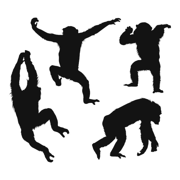 Free Vector hand drawn monkey silhouette