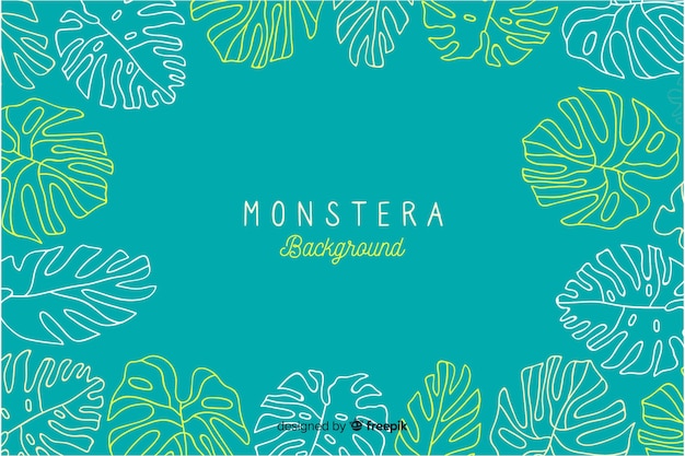 Free Vector hand drawn monstera background