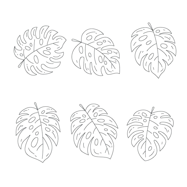 Hand drawn monstera leaf outline illustration